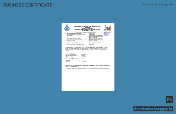 Indien, Haryana, Registrierungszertifikat – Beispielansicht (Word und PDF)
